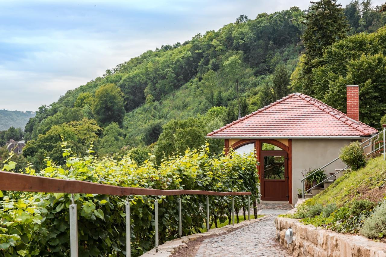 Flair Hotel Villa Ilske Bad Kosen Exterior foto